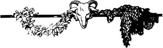 Авирон<br />(Повесть) - i_002.jpg