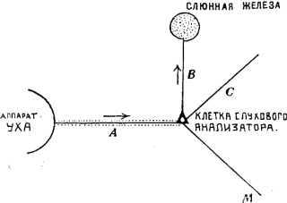 В тайниках человеческого тела - i_033.jpg