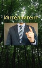 Книга Интеллигент (СИ)