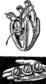 Два шага до чуда<br />(Очерки) - i_065.jpg