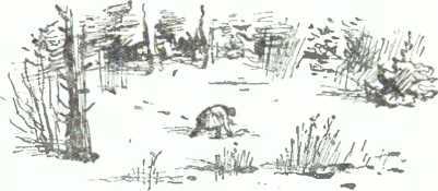 Подвиг Андрея Коробицына - i_008.jpg