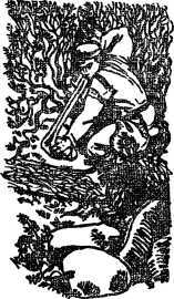 Необычайные приключения Кукши из Домовичей. Сигурд победитель дракона. Повести древних лет - i_014.jpg