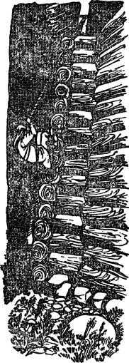 Необычайные приключения Кукши из Домовичей. Сигурд победитель дракона. Повести древних лет - i_017.jpg