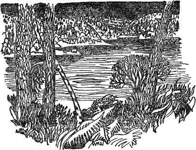 Необычайные приключения Кукши из Домовичей. Сигурд победитель дракона. Повести древних лет - i_019.jpg