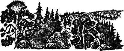 Необычайные приключения Кукши из Домовичей. Сигурд победитель дракона. Повести древних лет - i_098.jpg