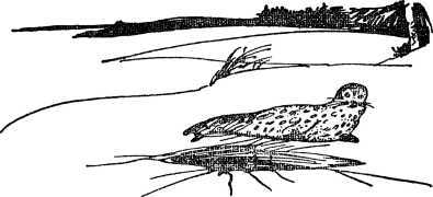 Необычайные приключения Кукши из Домовичей. Сигурд победитель дракона. Повести древних лет - i_119.jpg