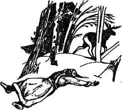 Необычайные приключения Кукши из Домовичей. Сигурд победитель дракона. Повести древних лет - i_122.jpg