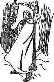 Необычайные приключения Кукши из Домовичей. Сигурд победитель дракона. Повести древних лет - i_162.jpg