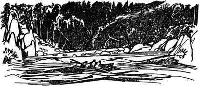 Необычайные приключения Кукши из Домовичей. Сигурд победитель дракона. Повести древних лет - i_184.jpg