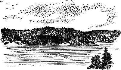 Необычайные приключения Кукши из Домовичей. Сигурд победитель дракона. Повести древних лет - i_212.jpg