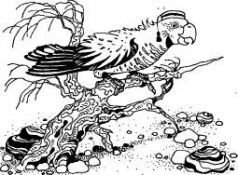 Говорящий сверток (с иллюстрациями) - pic4.jpg