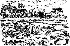 ПИКНИК И ПРОЧИЕ БЕЗОБРАЗИЯ - pic_10.jpg