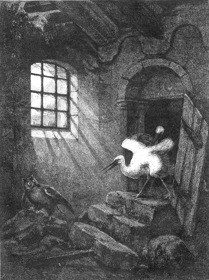 Сказки Вильгельма Гауфа - i_009.jpg