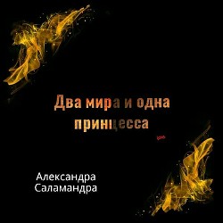 Книга Два мира и одна принцесса. Меж двух миров.