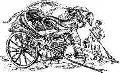 Рози – моя родня (с иллюстрациями) - pic10.jpg