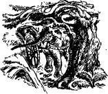 Рози – моя родня (с иллюстрациями) - pic15.jpg