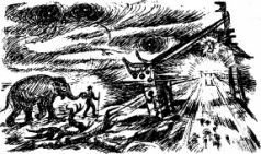 Рози – моя родня (с иллюстрациями) - pic31.jpg