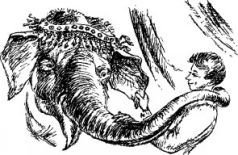 Рози – моя родня (с иллюстрациями) - pic33.jpg