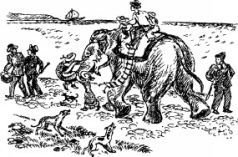 Рози – моя родня (с иллюстрациями) - pic40.jpg
