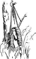 Охотничьи были<br />(Рассказы об охотниках и рыбаках) - i_070.jpg