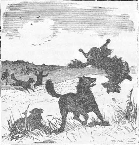 Сибирлетка<br />(Повесть. Современная орфография) - i_006.jpg