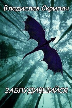 Читать онлайн книгу Заблудившийся (СИ) автор Скрипач Владислав Книга Заблудившийся (СИ)