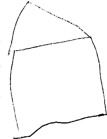 Записки детского невролога - i_027.png