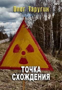 Книга Точка схождения (СИ)