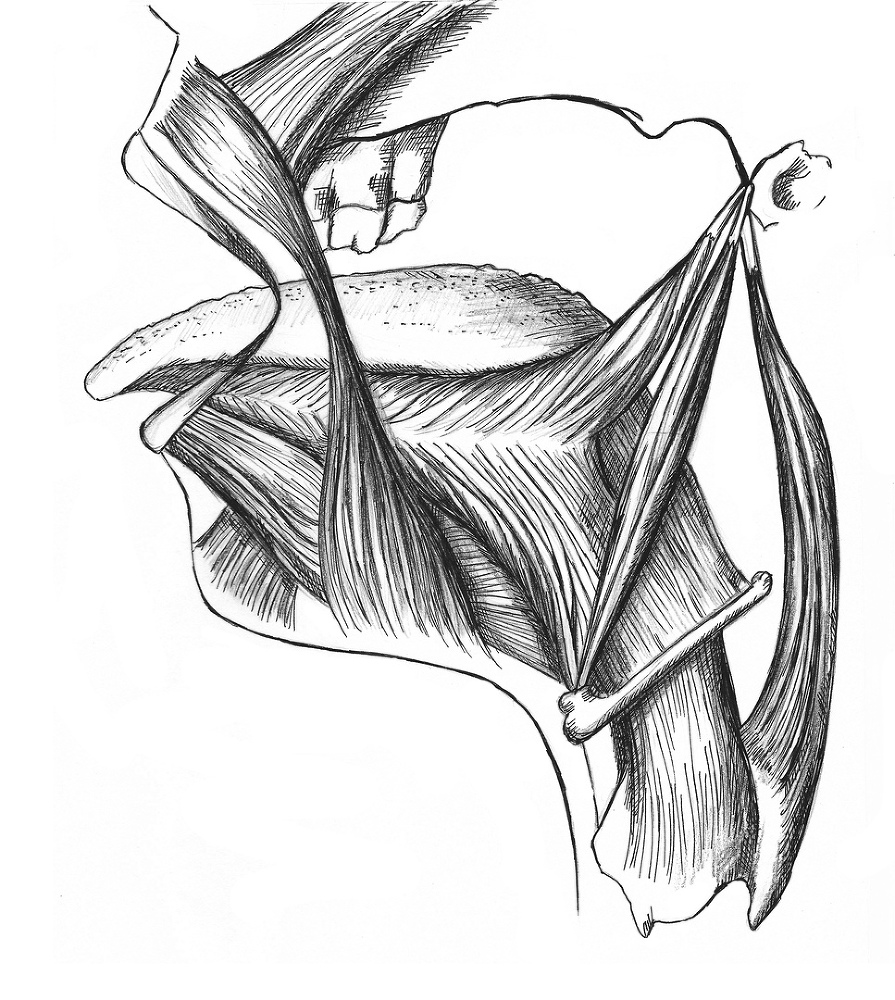 Жги напалмом. Краткий курс ораторского искусства - _8.jpg