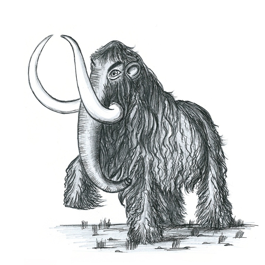 Жги напалмом. Краткий курс ораторского искусства - _3.jpg