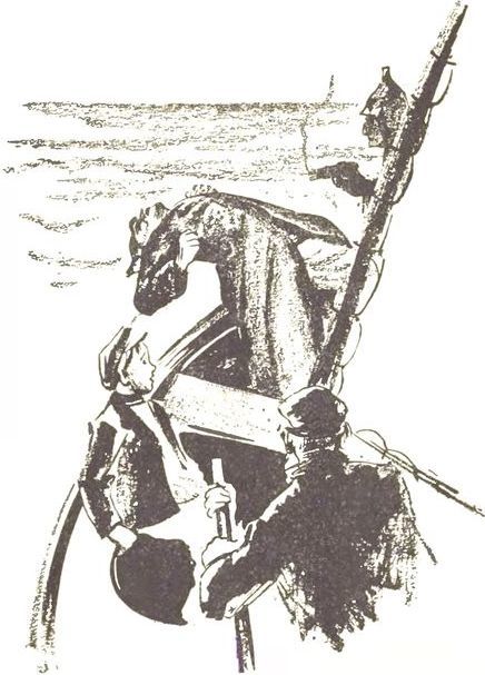 Смерч - i_004.jpg
