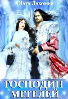 Книга Господин метелей (СИ)