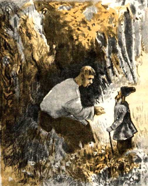 Украинские народные сказки - i_045.jpg