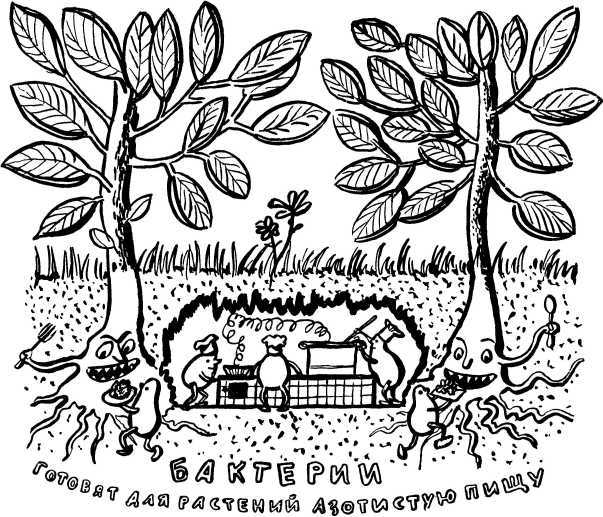 У порога великой тайны - i_027.jpg