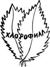 У порога великой тайны - i_032.jpg