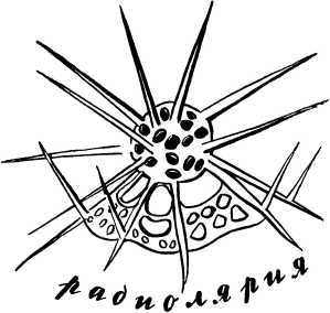 У порога великой тайны - i_039.jpg