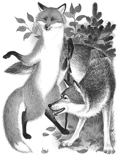 Русские народные сказки о животных - i_025.jpg