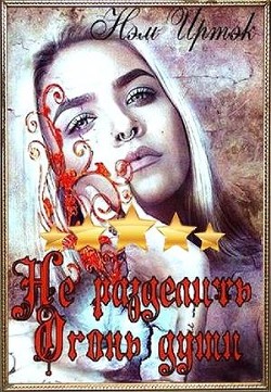 Читать онлайн книгу Не разделить огонь души (СИ) автор Иртэк Нэм Книга Не разделить огонь души (СИ)