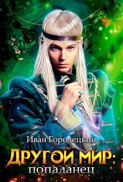 Книга Попаданец (СИ)