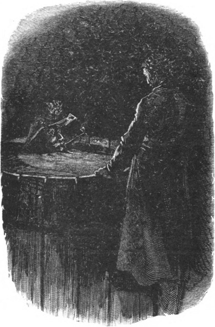 История неустрашимого капитана Кастаньетта<br />(На русском и французском языках) - i_051.jpg