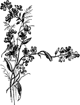 Грезы и сновидения<br />(Сказки. Совр. орф.) - i_008.png