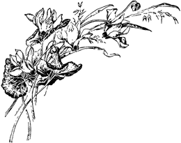 Грезы и сновидения<br />(Сказки. Совр. орф.) - i_014.png