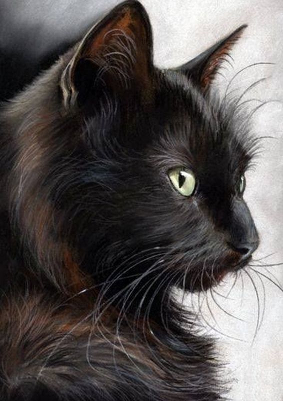 Возвращение к Мастеру - i_013.jpg