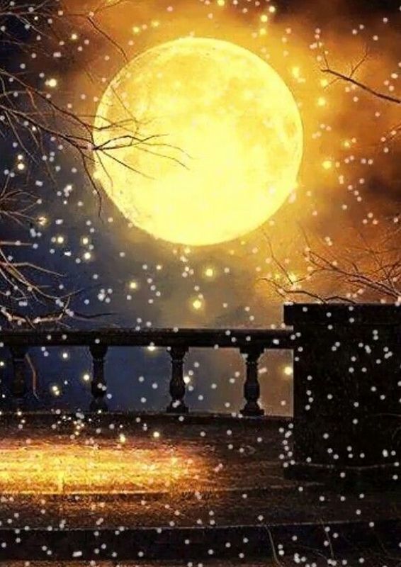 Возвращение к Мастеру - i_020.jpg