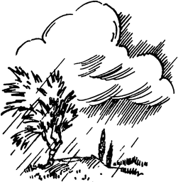 Тайна Змеиной пещеры<br />(Повесть) - i_008.png