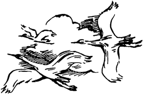 Тайна Змеиной пещеры<br />(Повесть) - i_011.png