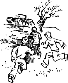 Тайна Змеиной пещеры<br />(Повесть) - i_012.png