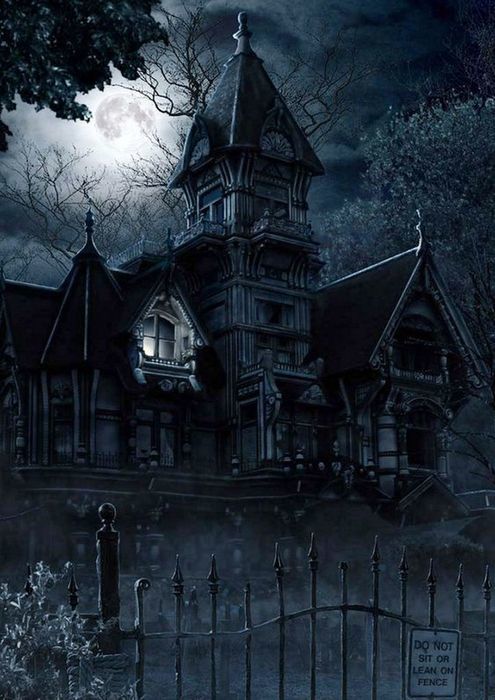 Чарли Бон и Пустынный волк - i_034.jpg