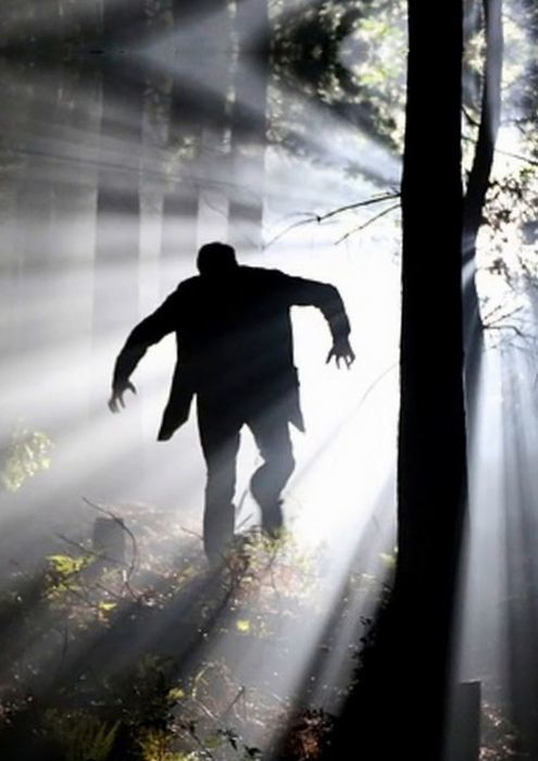 Чарли Бон и Пустынный волк - i_036.jpg