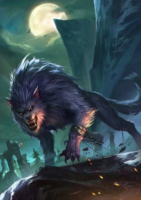 Чарли Бон и Пустынный волк - i_041.jpg